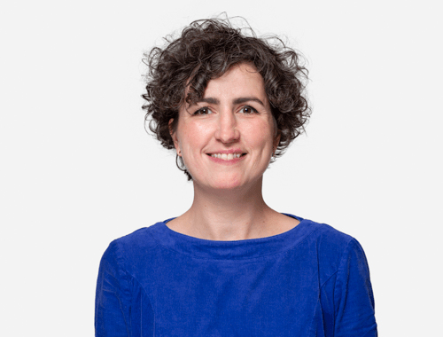 Dominique Van Laethem
